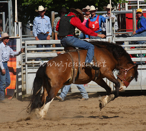 bobsun_0849_edited-1