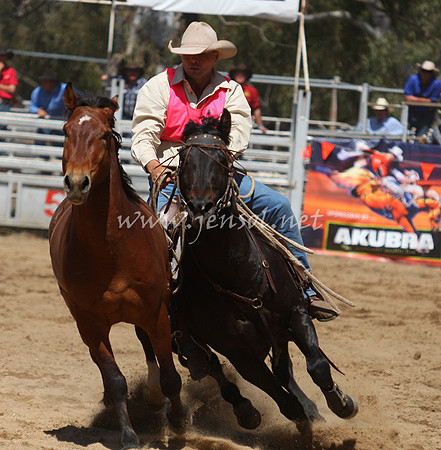bobsun_0452_edited-1