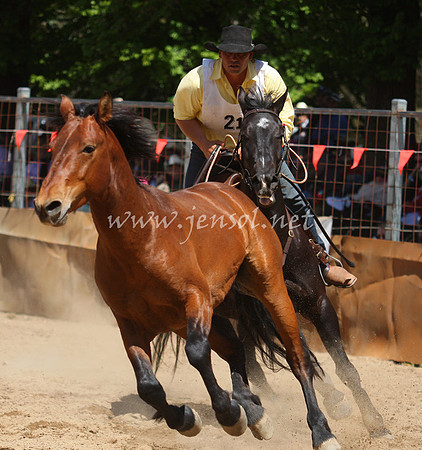 bobsun_0432_edited-1
