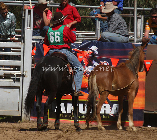 bobsun_0694_edited-1