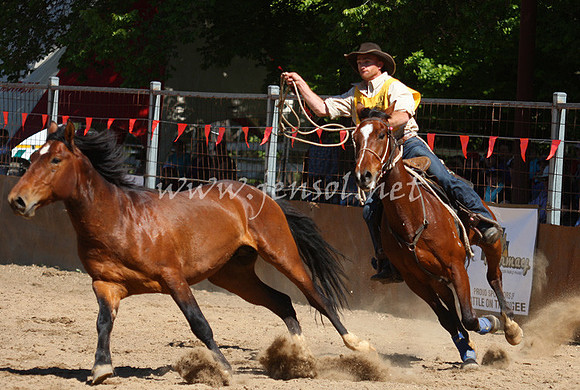 bobsun_0682_edited-1