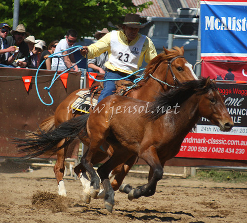 bobsun_0510_edited-1