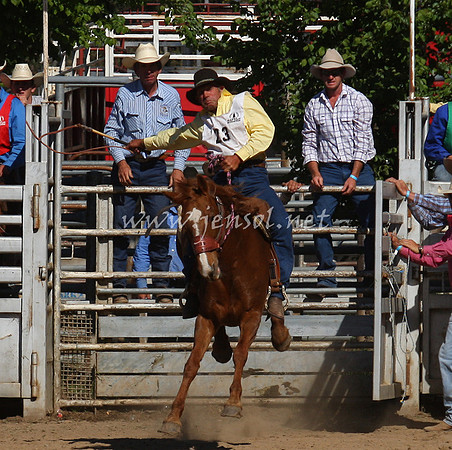 bobsun_0822_edited-1