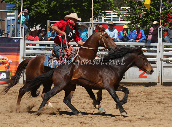 bobsun_0580_edited-1