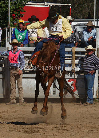 bobsun_0828_edited-1
