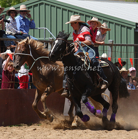 bobsun_0300_edited-1