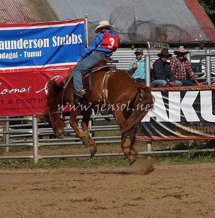 bobsun_0761_edited-1