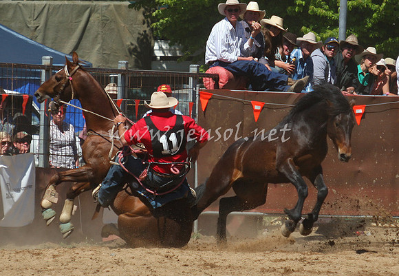 bobsun_0590_edited-1