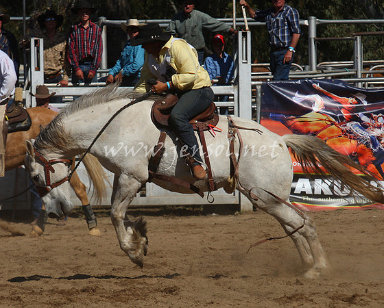 bobsun_0801_edited-1