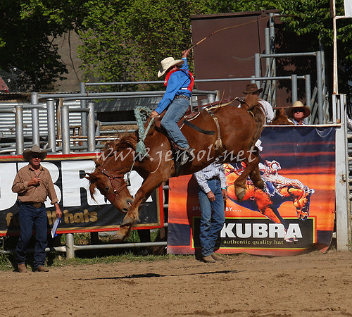bobsun_0753_edited-1