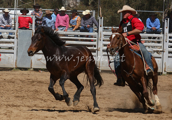 bobsun_0595_edited-1