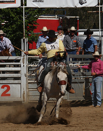 bobsun_0791_edited-1