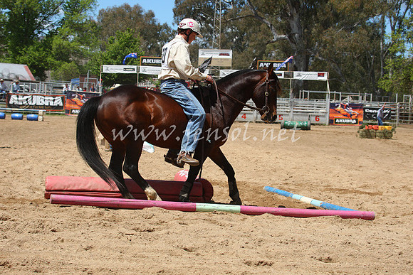 bobsun_0225