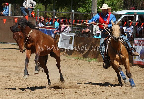 bobsun_0546_edited-1