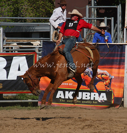 bobsun_0882_edited-1
