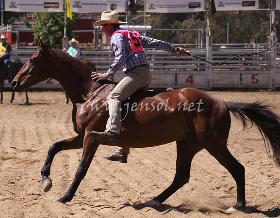 bobsun_1008_edited-1