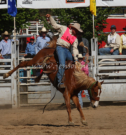 bobsun_0777_edited-1
