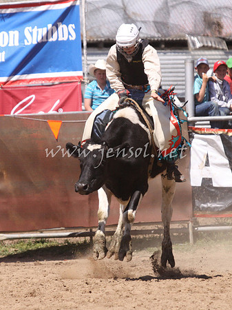 bobsun_1117_edited-1