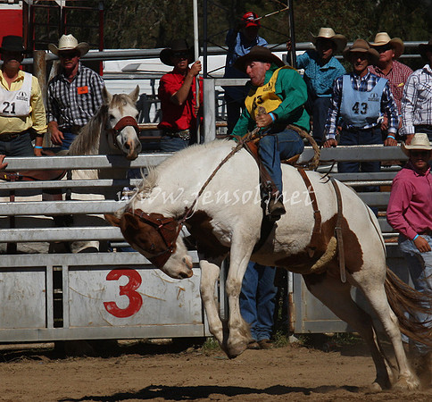 bobsun_0701_edited-1