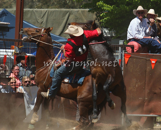 bobsun_0585_edited-1