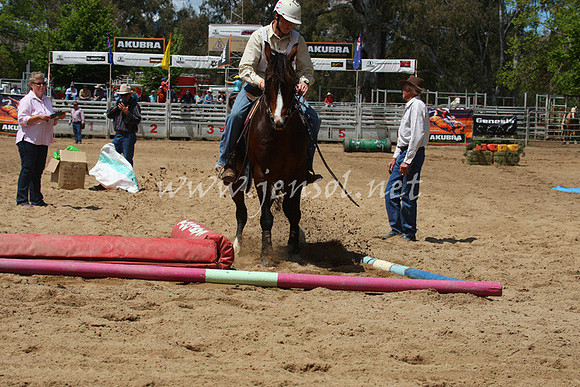 bobsun_0214