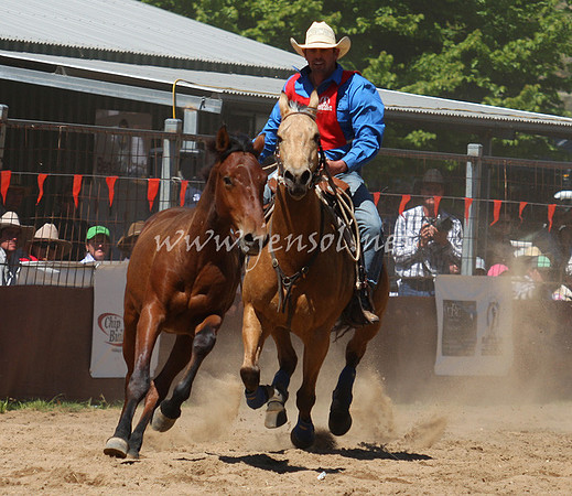 bobsun_0528_edited-1