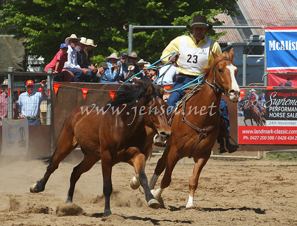 bobsun_0502_edited-1