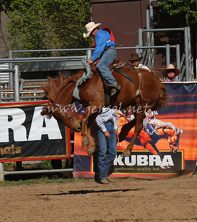 bobsun_0752_edited-1