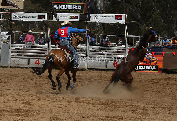 bobsun_0541_edited-1