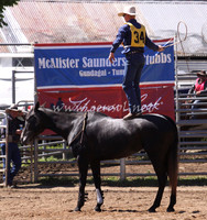 bobsun_1034_edited-1