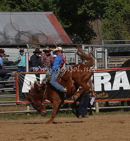 bobsun_0758_edited-1