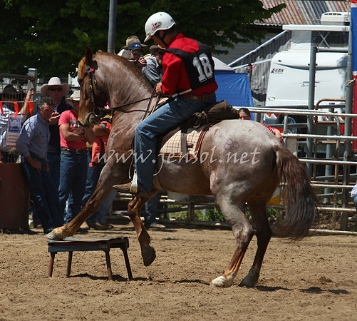 bobsun_0191_edited-1