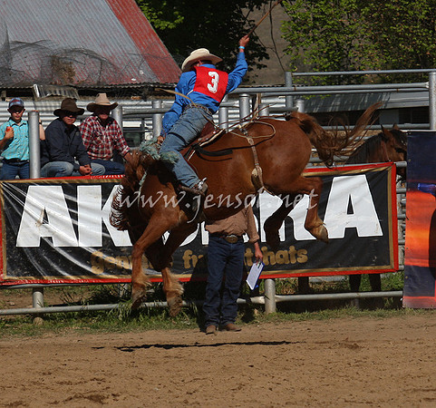 bobsun_0757_edited-1