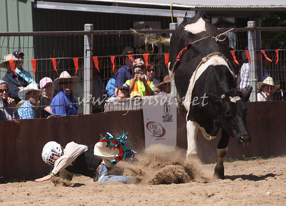 bobsun_1126_edited-1