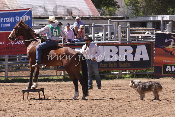 bobsun_1043_edited-1