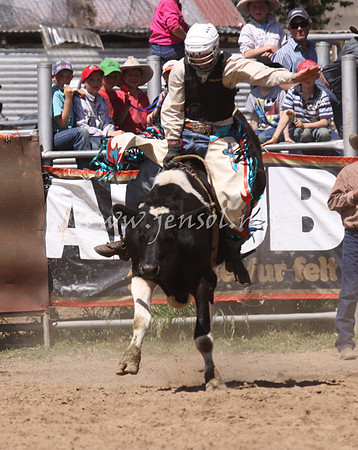 bobsun_1115_edited-1