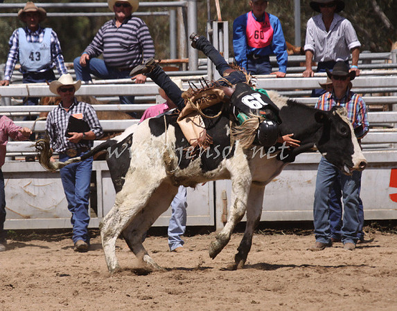 bobsun_1073_edited-1