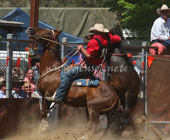 bobsun_0584_edited-1