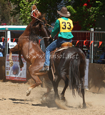 bobsun_0613_edited-1