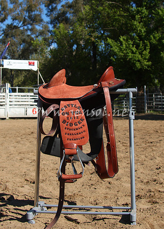 bobsun_0890_edited-1