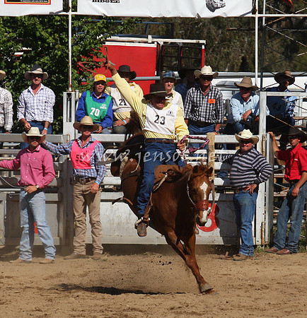 bobsun_0826_edited-1
