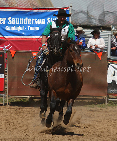bobsun_0659_edited-1
