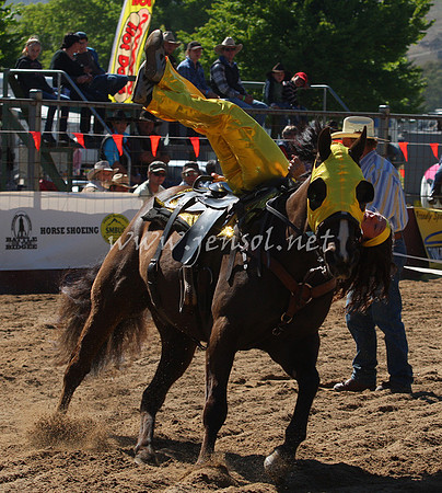 bobsun_0001_edited-1