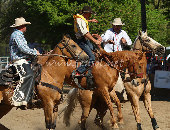 bobsun_0740_edited-1