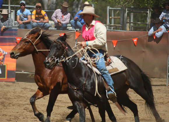 bobsun_0488_edited-1