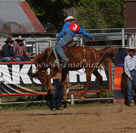 bobsun_0755_edited-1