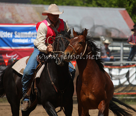 bobsun_0497_edited-1