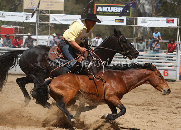 bobsun_0439_edited-1