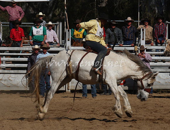 bobsun_0795_edited-1