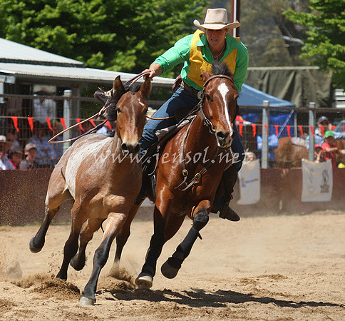 bobsun_0339_edited-1
